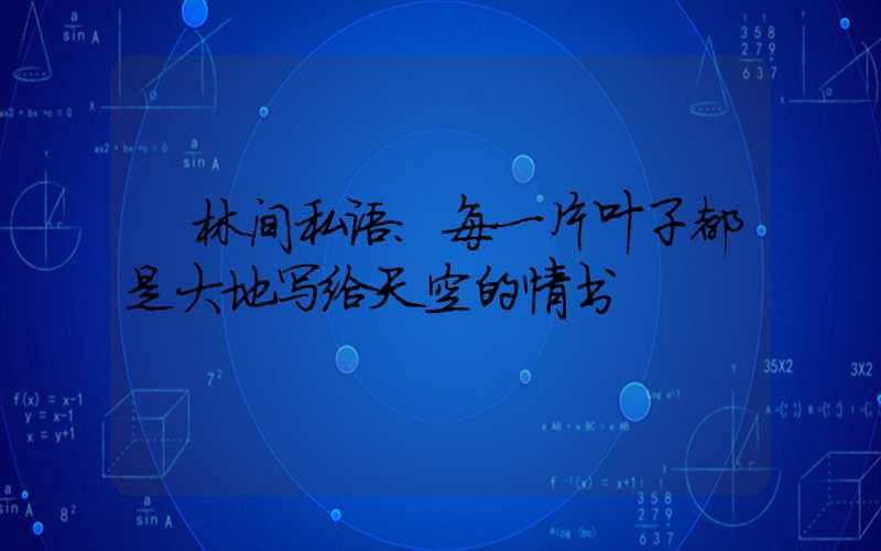  林间私语：每一片叶子都是大地写给天空的情书